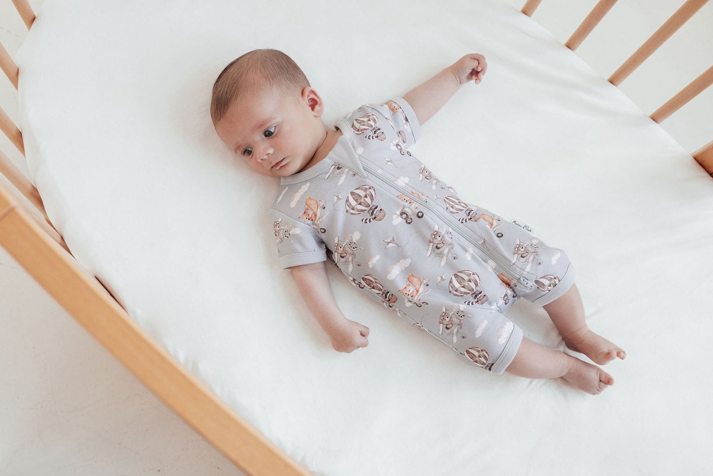 Aster and Oak Baby Boys Flying Friends Zip Romper | Rompers & Playsuits | Bon Bon Tresor
