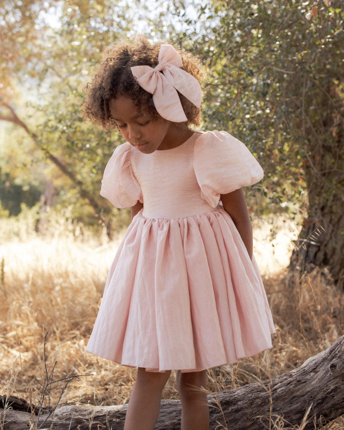 Noralee Sofia Dress - Rose Shimmer