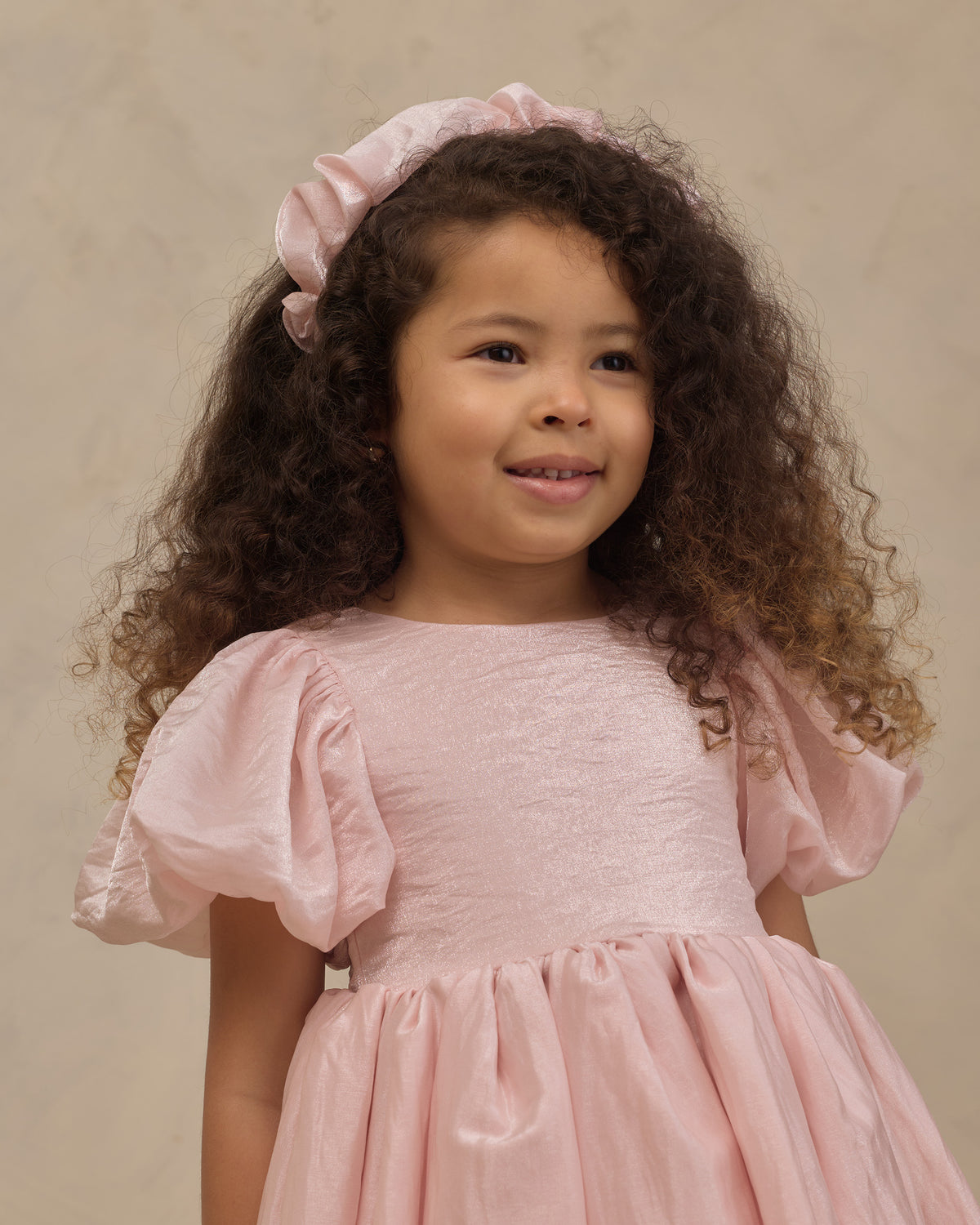 Noralee Sofia Dress - Rose Shimmer