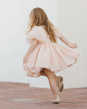 Noralee Sofia Dress - Blush