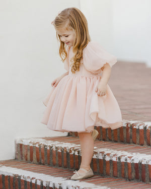 Noralee Sofia Dress - Blush