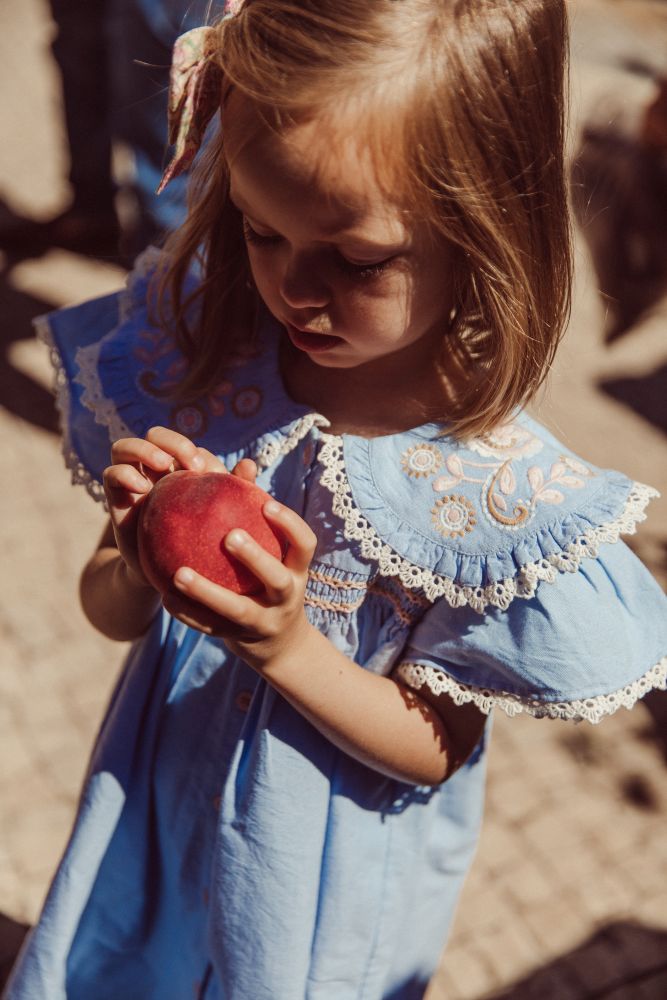 Louise Misha Girls Nalina Dress | Dresses | Bon Bon Tresor