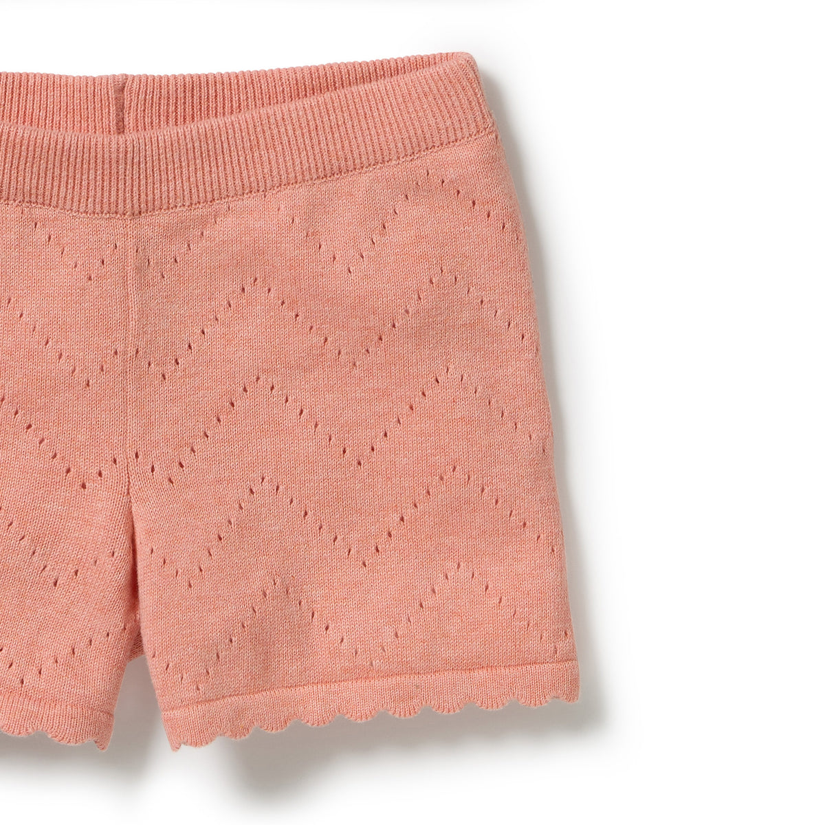 Wilson and Frenchy Baby Girls Organic Knitted Pointelle Set - Petal Pink | Outfit Sets | Bon Bon Tresor