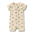 Wilson and Frenchy Baby Boys Tiny Palm Organic Boyleg Zipsuit | Rompers & Playsuits | Bon Bon Tresor