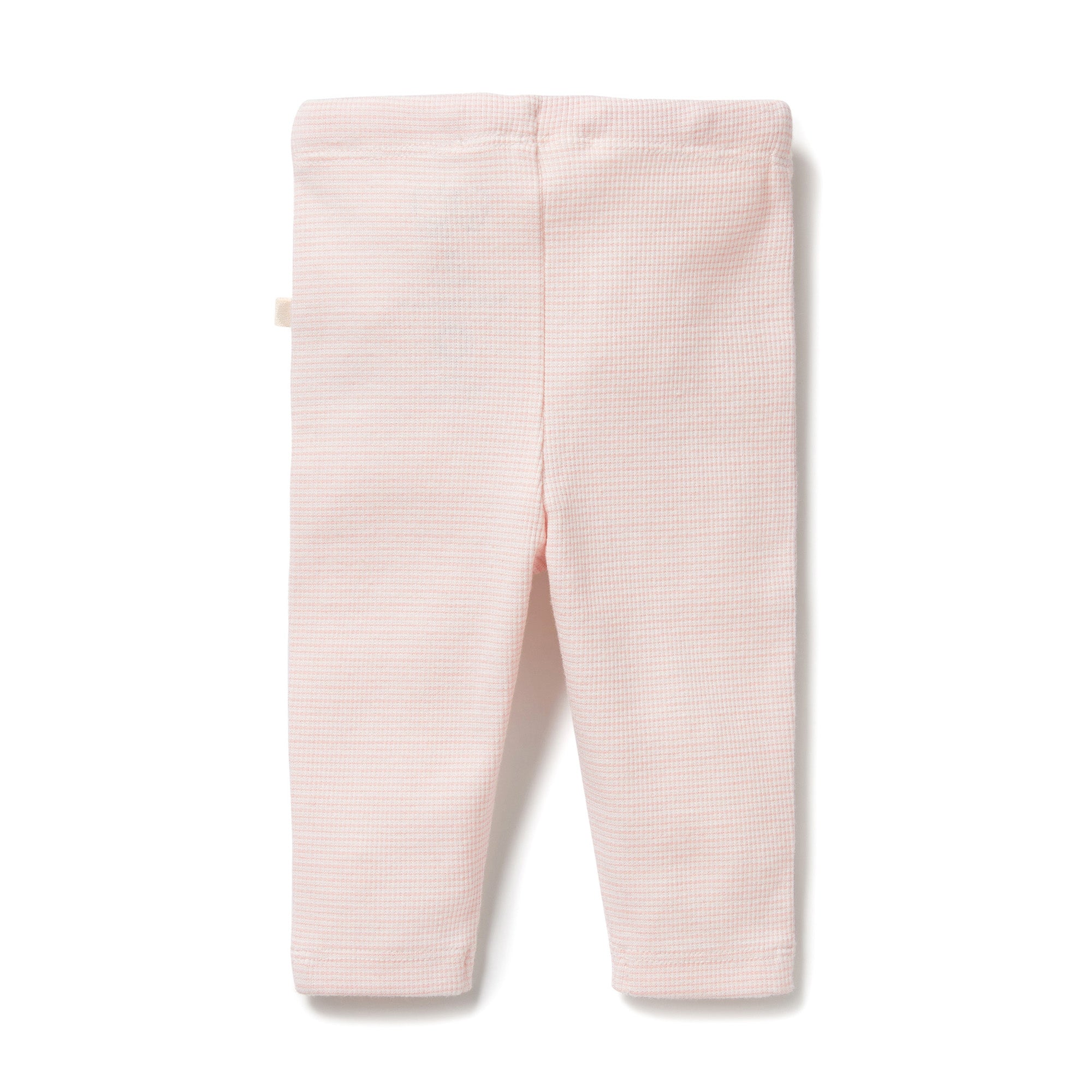 Wilson and Frenchy Organic Stripe Rib Legging - Cantaloupe