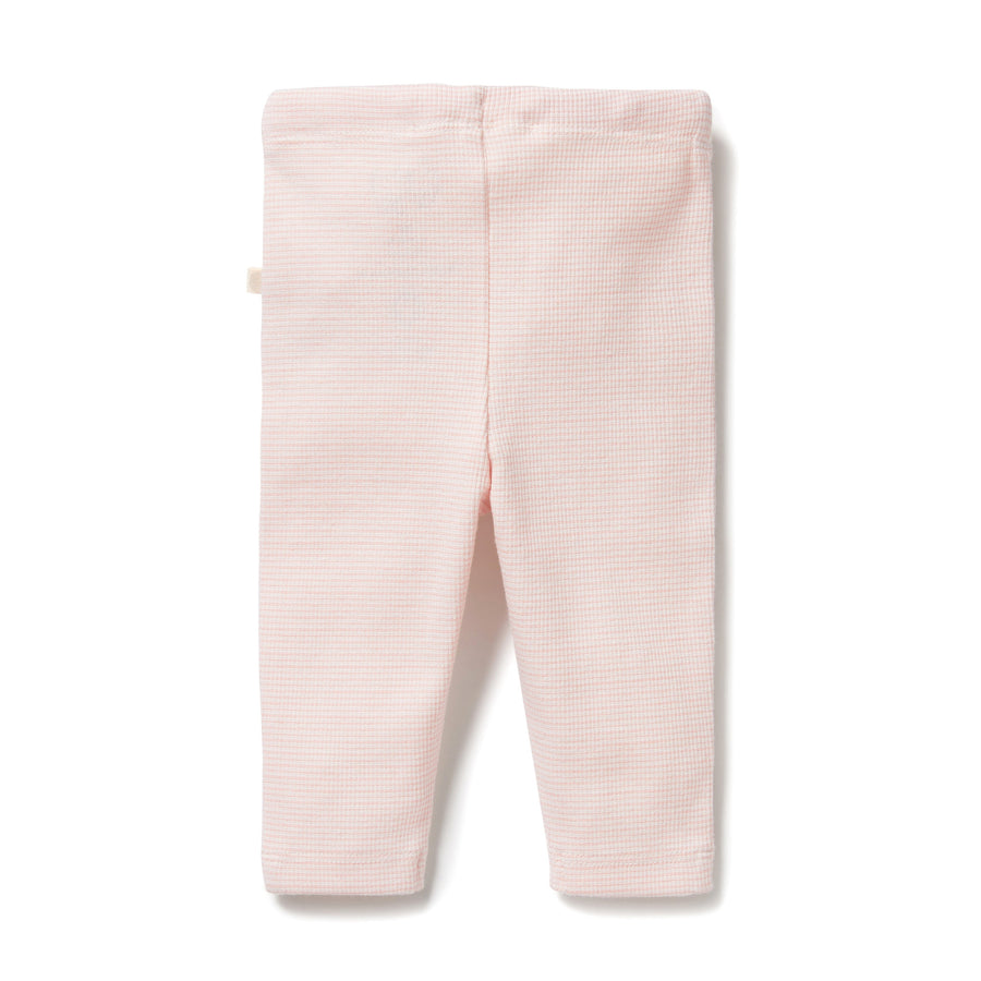 Wilson and Frenchy Organic Stripe Rib Legging - Cantaloupe | Pants & Shorts | Bon Bon Tresor