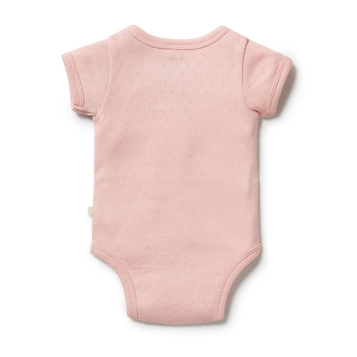 Wilson and Frenchy Organic Pointelle Kimono Bodysuit - Cantaloupe | Rompers & Playsuits | Bon Bon Tresor