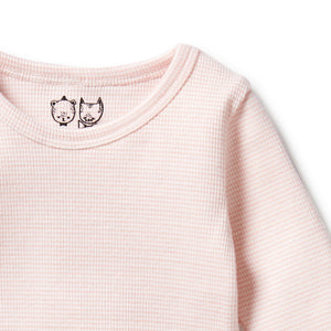 Wilson and Frenchy Organic Stripe Rib Long Sleeve Top - Cantaloupe | Tops & T-Shirts | Bon Bon Tresor