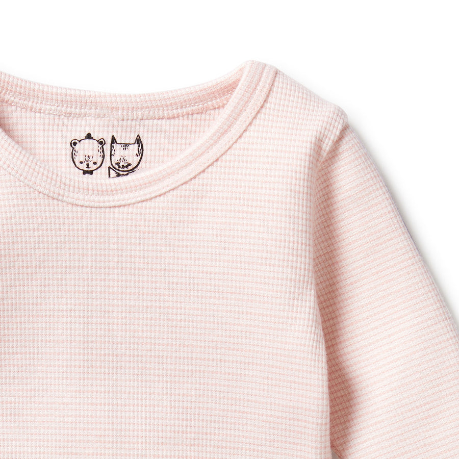 Wilson and Frenchy Organic Stripe Rib Long Sleeve Top - Cantaloupe | Tops & T-Shirts | Bon Bon Tresor