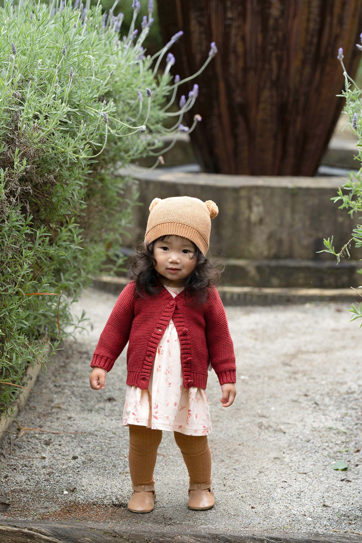 Toshi Knit Dress Classic Long Sleeve Honey | Dresses | Bon Bon Tresor