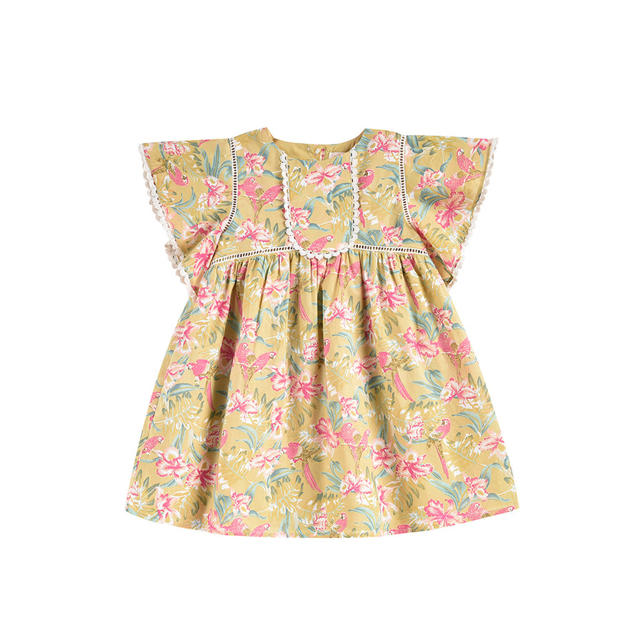 Louise Misha Christina Soft Honey Parrots Dress | Dresses & Skirts | Bon Bon Tresor